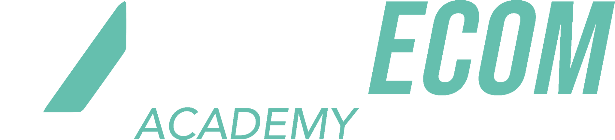 Zona Ecom Academy